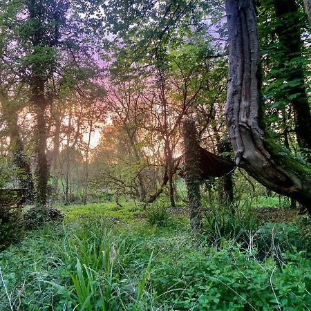 Lacken Millhouse&Gardens Bed and Breakfast Cavan Buitenkant foto