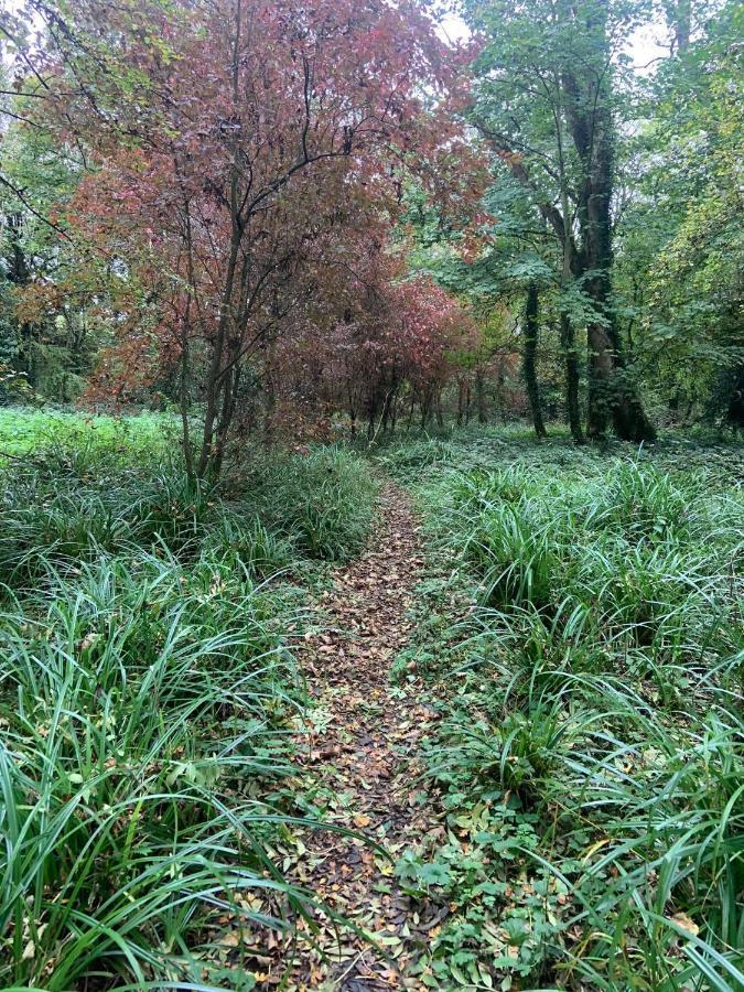 Lacken Millhouse&Gardens Cavan Buitenkant foto