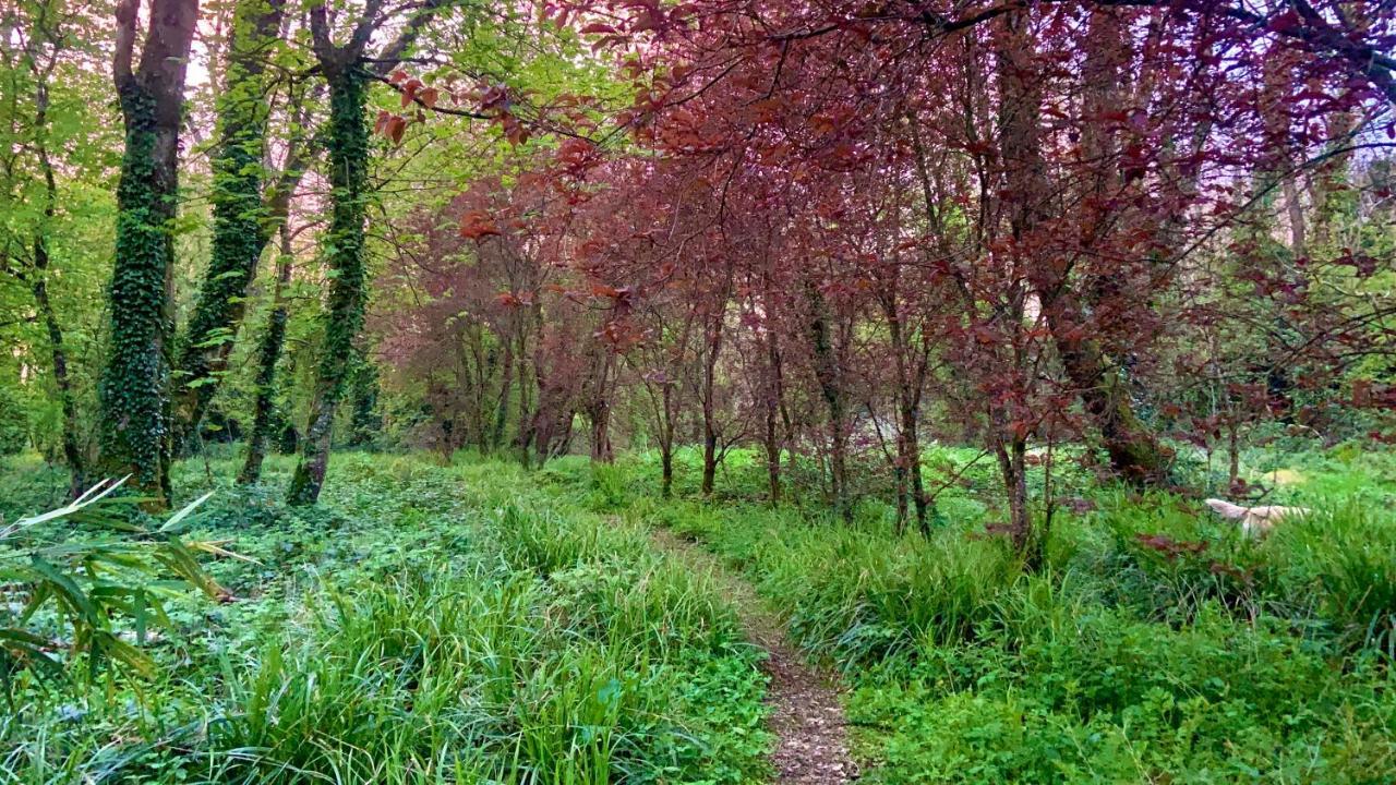 Lacken Millhouse&Gardens Bed and Breakfast Cavan Buitenkant foto