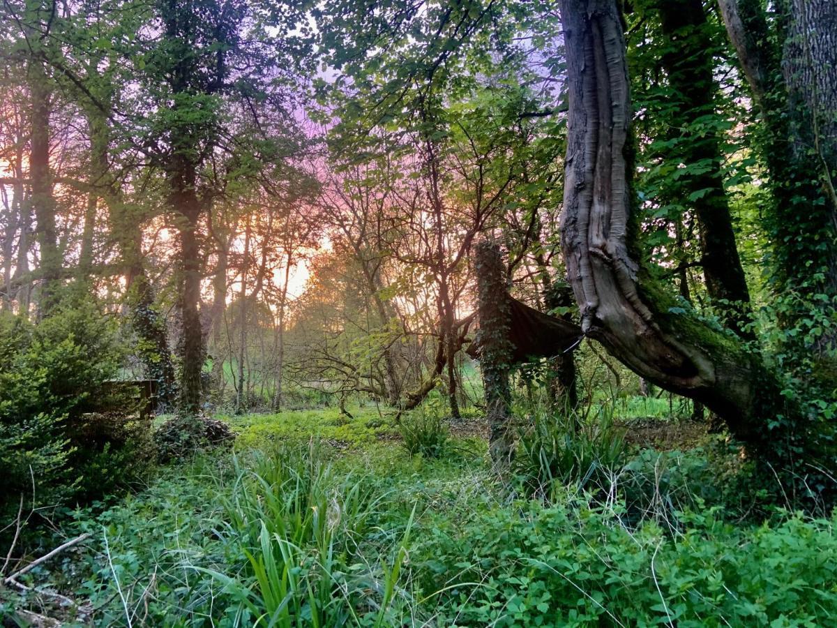 Lacken Millhouse&Gardens Bed and Breakfast Cavan Buitenkant foto